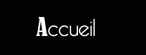 accueil book
