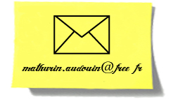 un_ours_dans_l__objectifb_2_6.jpg
