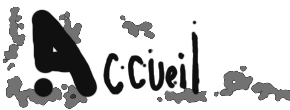 accueil book
