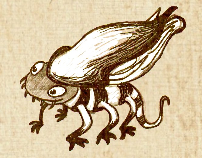 ALAMICHEL Amandine