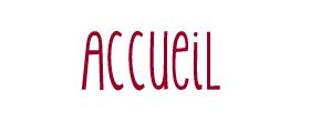 accueil book