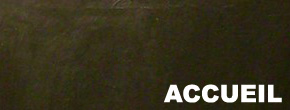 accueil book