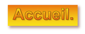accueil book