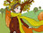 Renard