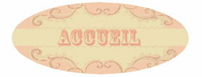 accueil book