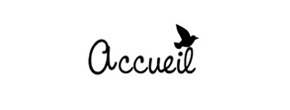 accueil book