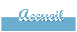 accueil book