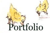 portefolio