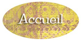 accueil book