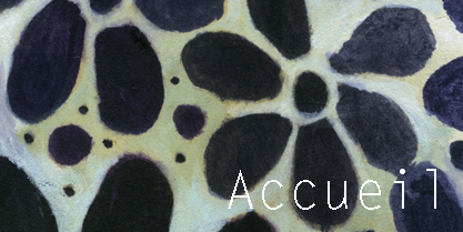 accueil book
