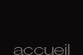 accueil book