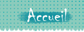 accueil book