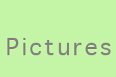 portefolio