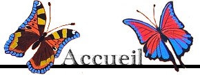 accueil book