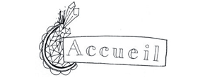 accueil book