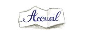 accueil book