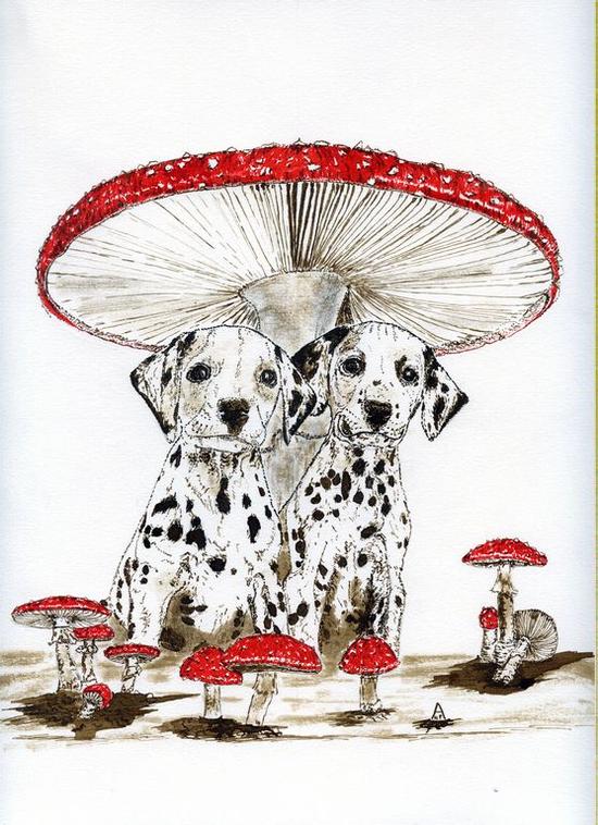 Teuleu Azémar Dessins Animaliers : Book