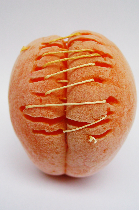 This is just an apricot - CODA