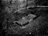 good times/bad times - CODA