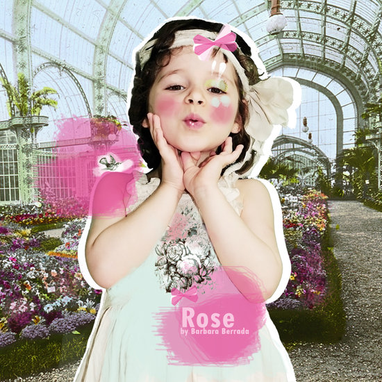 Rose#2