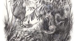bastien quignon-illustrateur