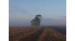 caroline dhorbait-photographe