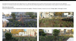 Projet Créa. : Place Renaudel (Bordeaux) - Gwenaëlle Kergal-autre
