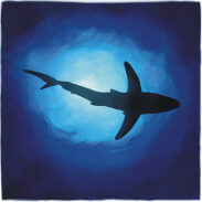 Un shark dans un bleu foncé