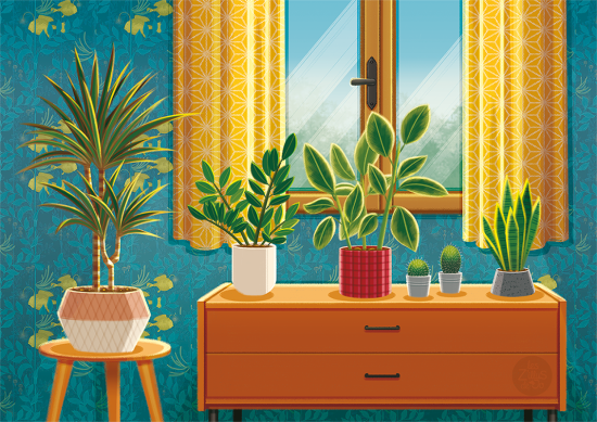 Plantes d'intérieur devant une fenêtre