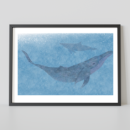 Dolphins dans l'eau bleue