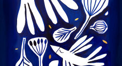 lucie vandevelde-illustrateur-jeunesse