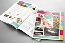 Catalogue FLORENSUC - Décoration pour pâtisseries | Delannoy Sophie