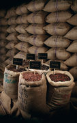 Fèves de cacao