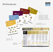 Guide de la Rénovation Énergétique
