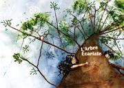 Projet illustration
