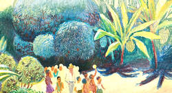 Jardin martiniquais - Agnès Eymond-illustrateur