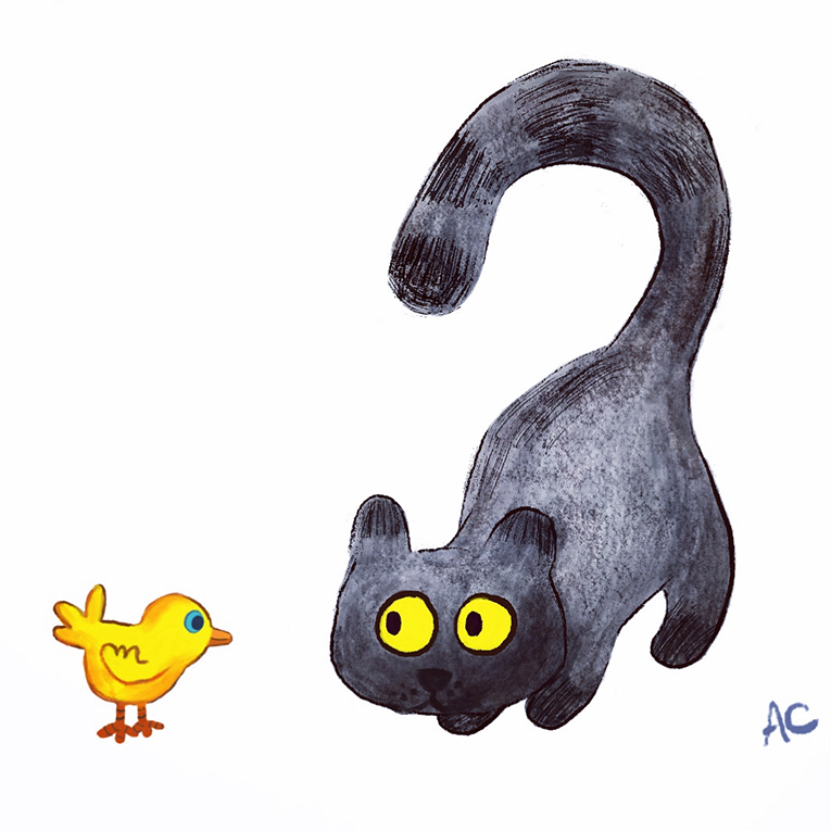 Chat et oiseau