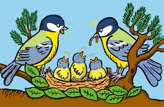 Le repas des oiseaux