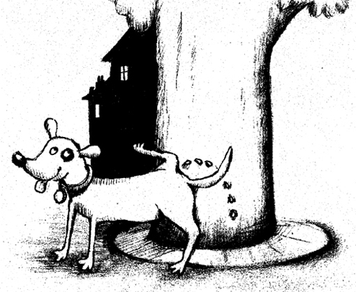 Pipi de chien