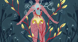 REBIRTH - ALexandra Petracchi-illustrateur
