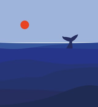 OCEAN'S TALE - Humpback Whale