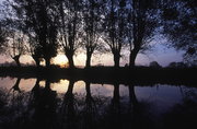 Vallée de l'Huisne