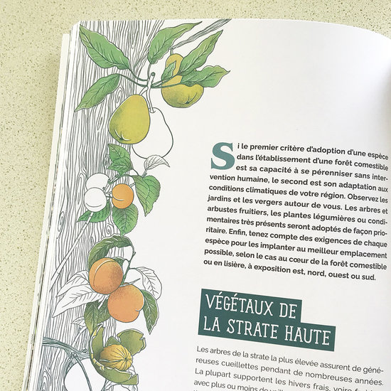 RUSTICA ÉDITIONS