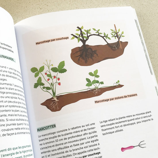 RUSTICA ÉDITIONS - Mon potager décomplexé