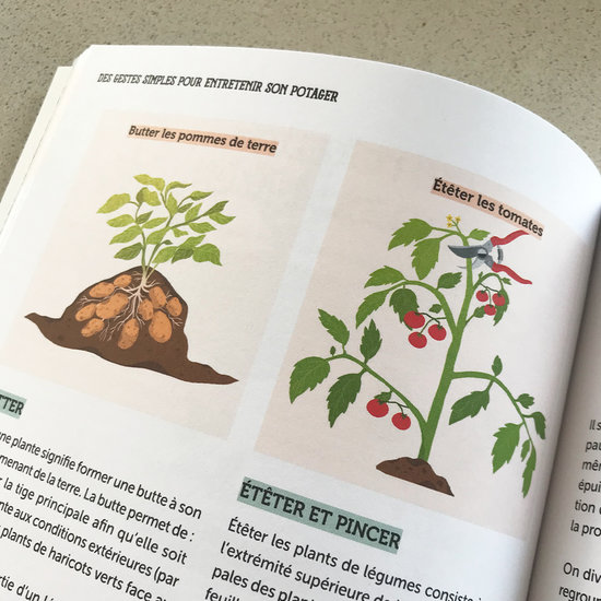 RUSTICA ÉDITIONS - Mon potager décomplexé