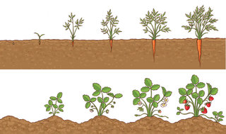 Manuel sciences 6e - Editions Bordas