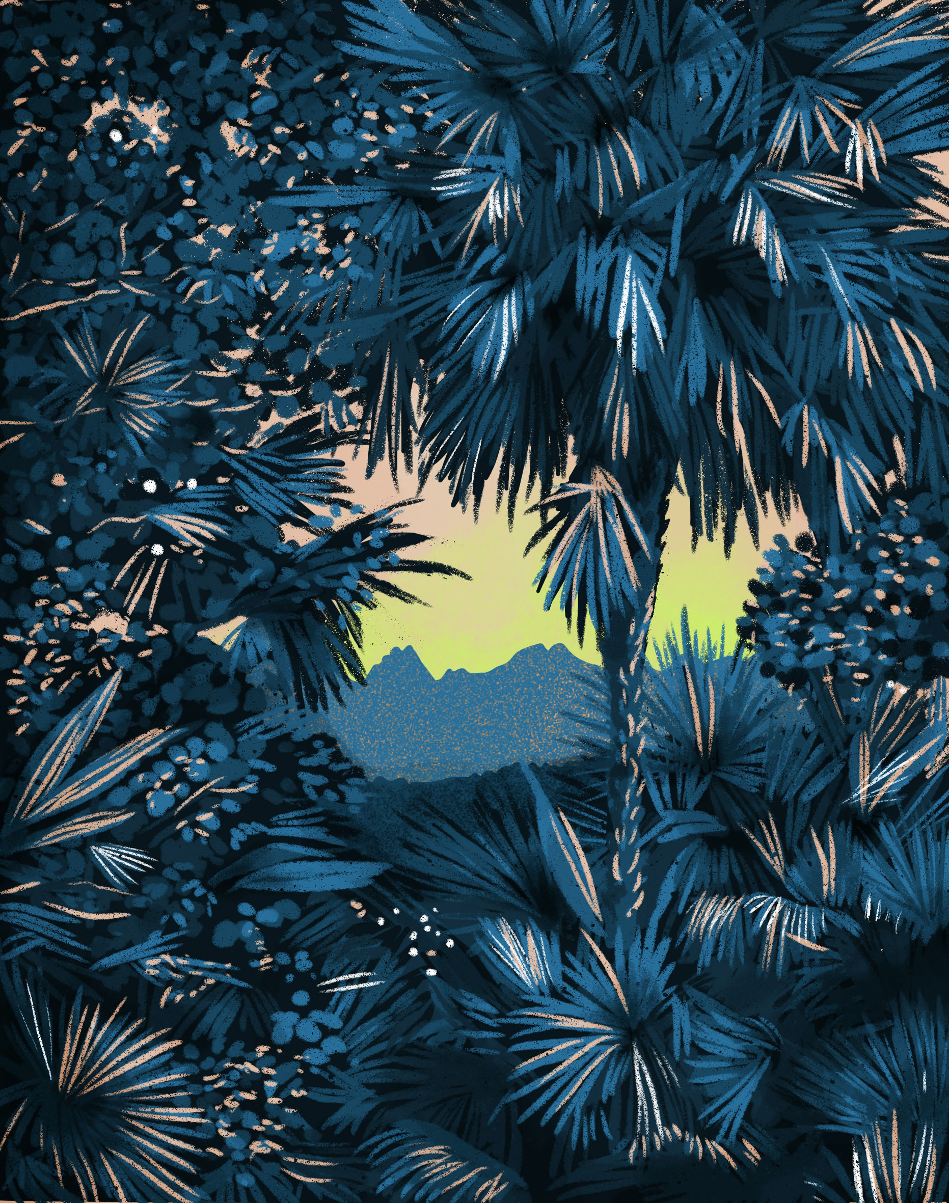 Nord Vietnam - amandine bourbon-toulan - illustrateurs/rices