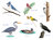 Les oiseaux de l'Isle-aux-grues