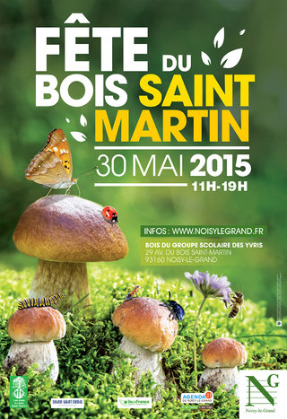 Fête de Bois-Saint-Martin 2015