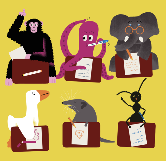 Le Larousse des 500 pourquoi comment - Les Animaux Ed.Larousse